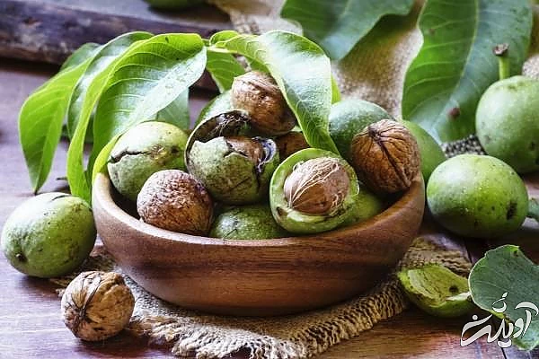 ساخت رنگ مو با پوست گردو پوست گردو